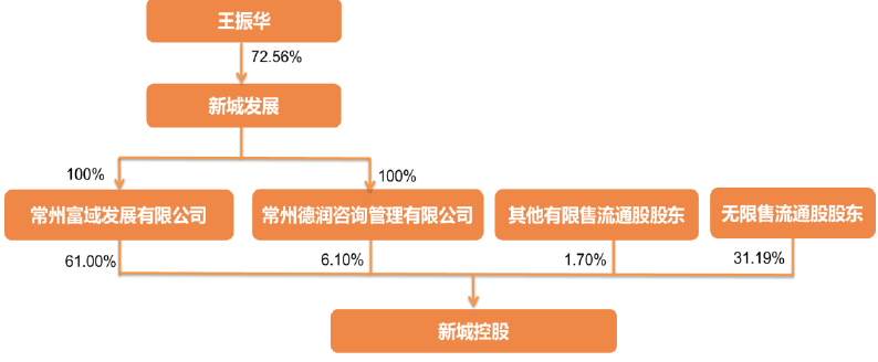 公司股权结构